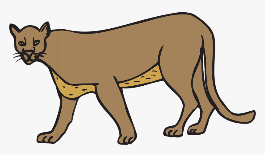 Cougar Clipart, HD Png Download, Free Download