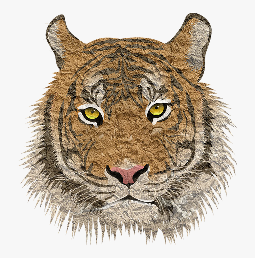 Tiger, Cat, Animal, Leopard, Cougar, Cub, Tigress, - Tiger Png Image Download, Transparent Png, Free Download