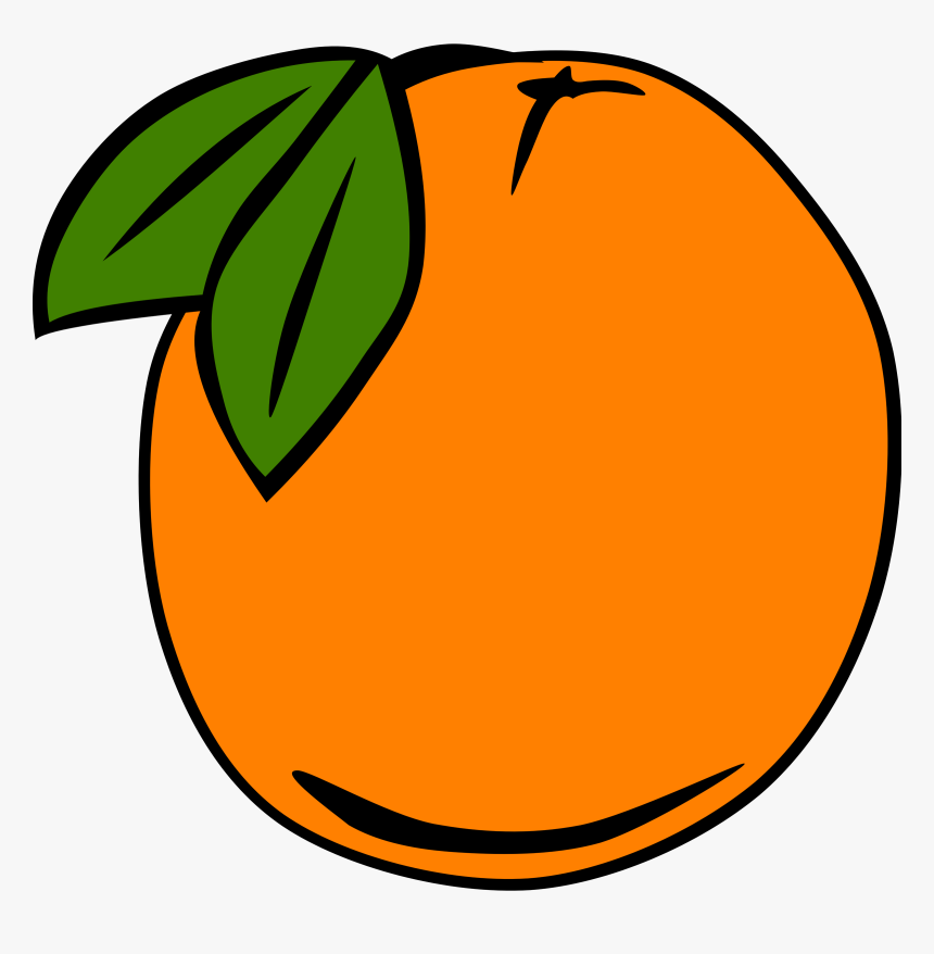 Cartoon Orange Tree - Orange Clip Art, HD Png Download, Free Download