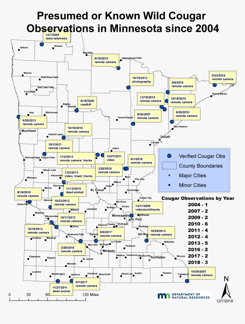 A Map Of Cougar Sightings In Minnesota - Mountain Lion Sightings In Mn, HD Png Download, Free Download