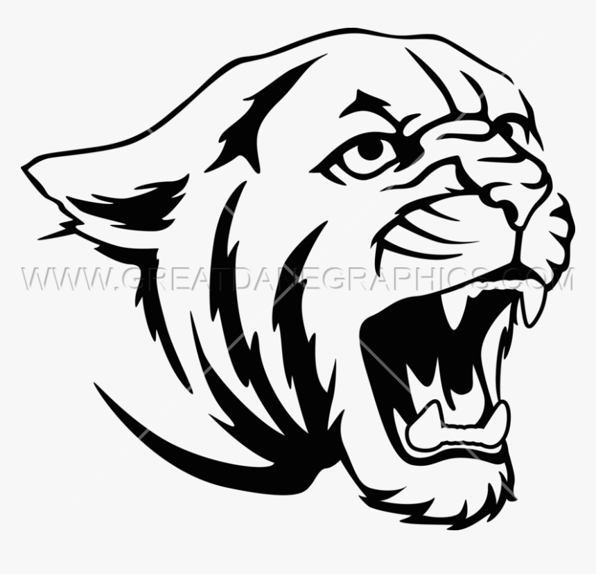 Cougar Clipart Black And White - Drawing Of A Cougar, HD Png Download, Free Download