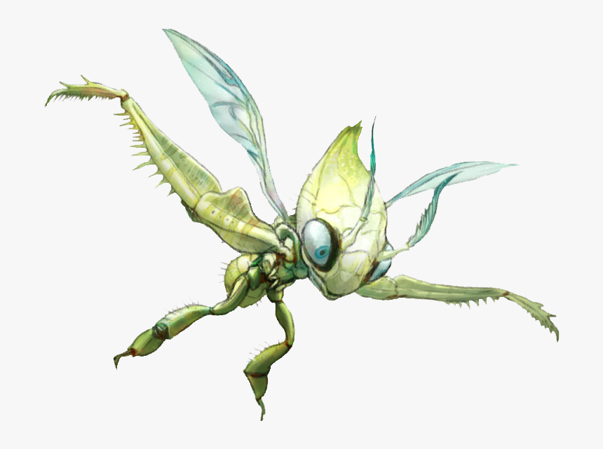 Pokémon X And Y Insect Invertebrate Fauna Membrane - Celebi Real, HD Png Download, Free Download