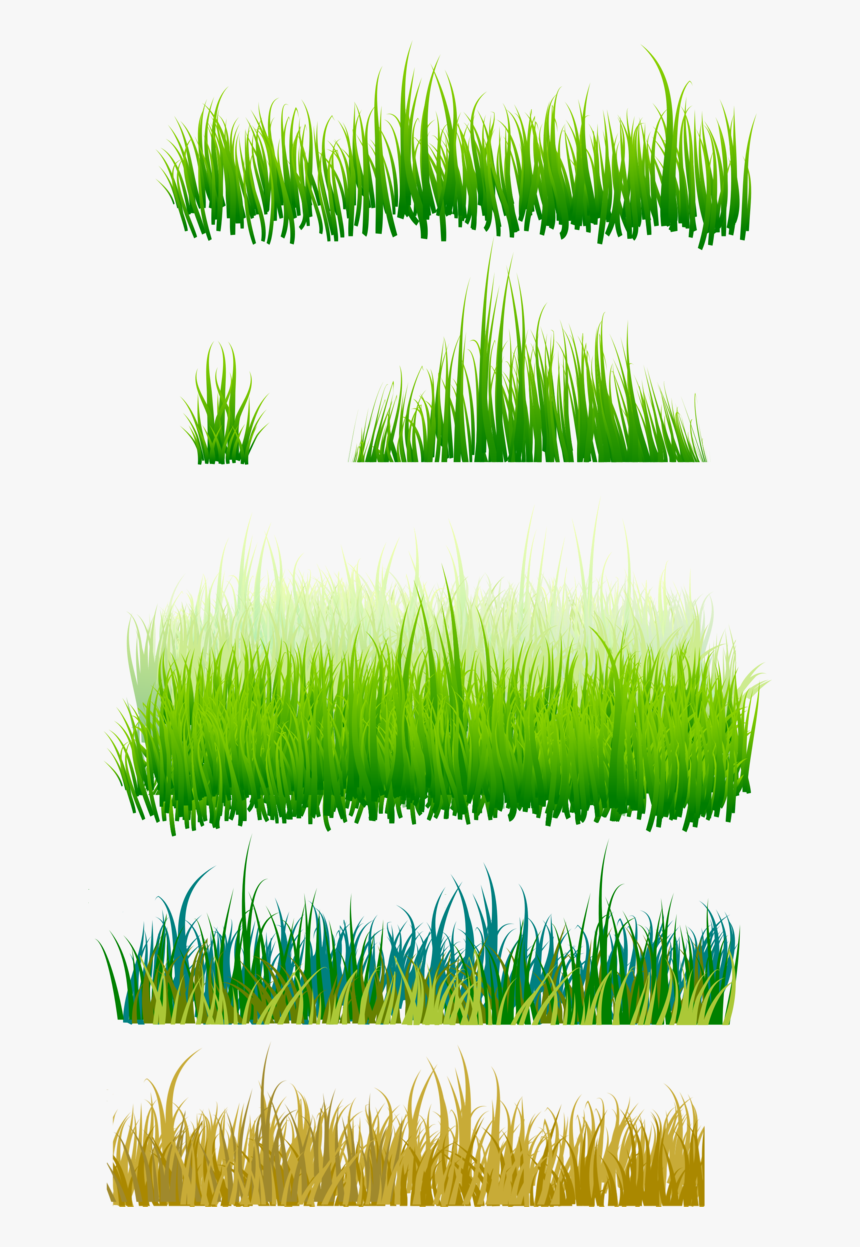 Grama Imagens Png Grass - Grass, Transparent Png, Free Download