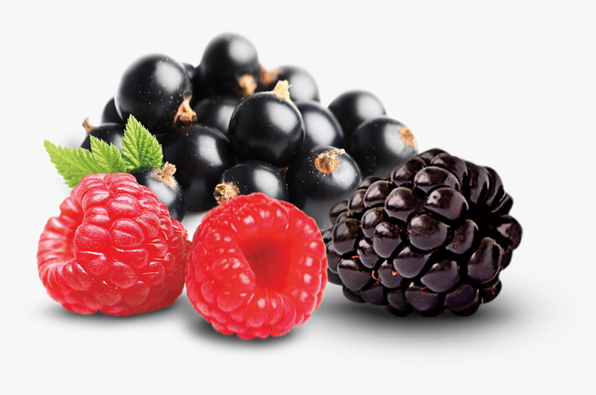 Blackberry, HD Png Download, Free Download