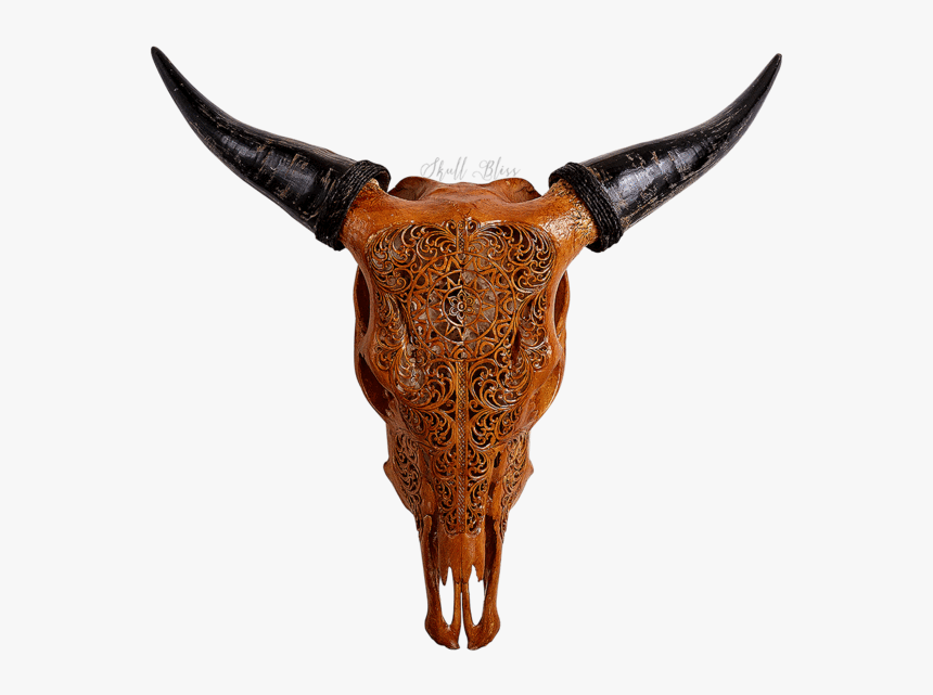 Clip Art Bull Head Skulls - Carved Cow Skull Boho, HD Png Download, Free Download