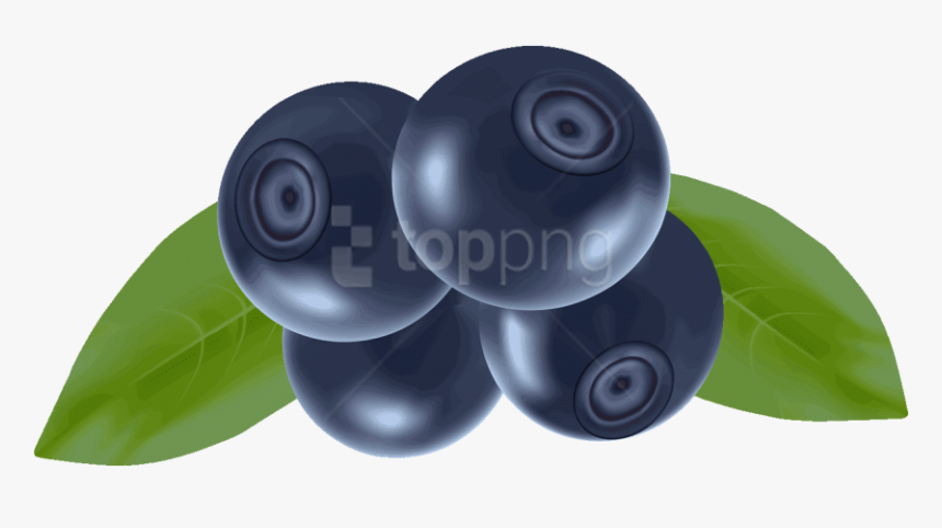 Download Blueberries Png Photo - Fruits Vector, Transparent Png, Free Download