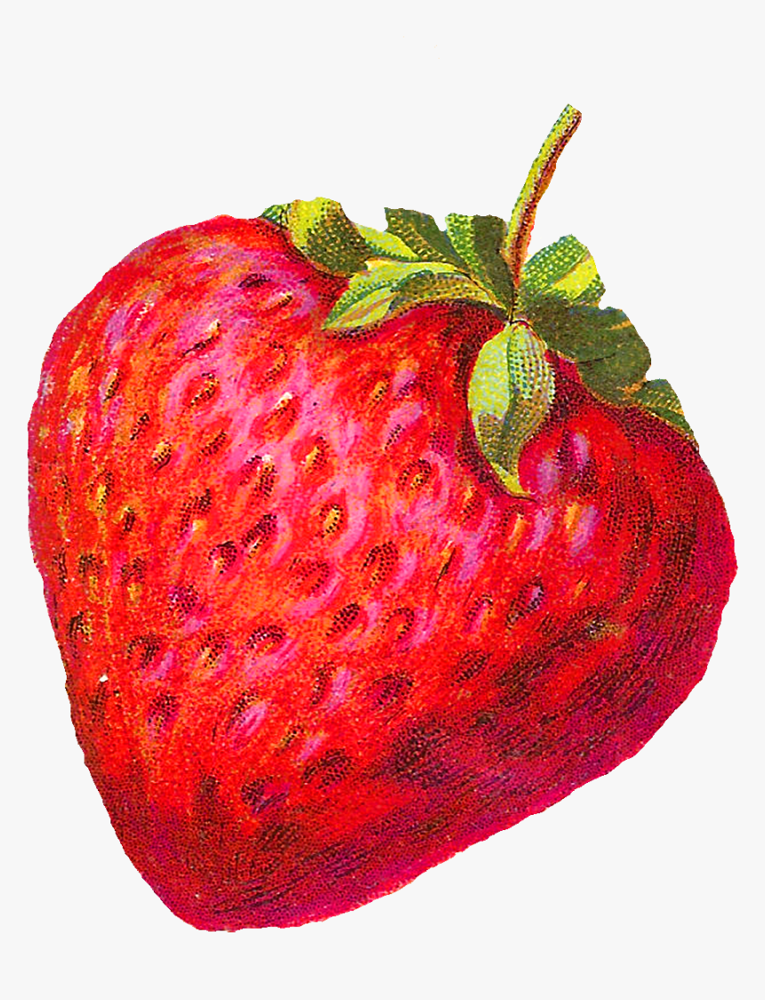 Vintage Strawberry Clip Art, HD Png Download, Free Download