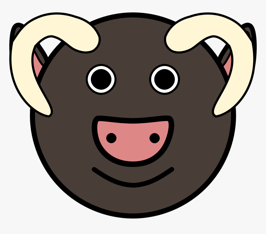Animal Cartoon Smiley Face Hd, HD Png Download, Free Download