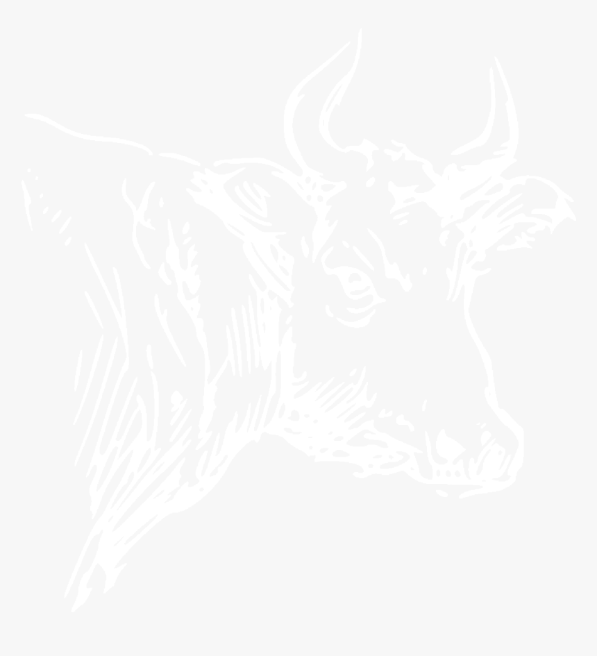 The Bulls Head - Illustration, HD Png Download, Free Download