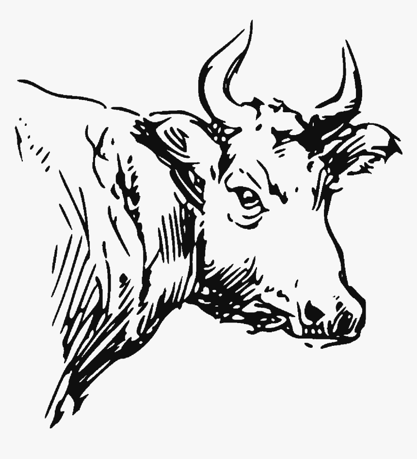 The Bulls Head - Bull, HD Png Download, Free Download