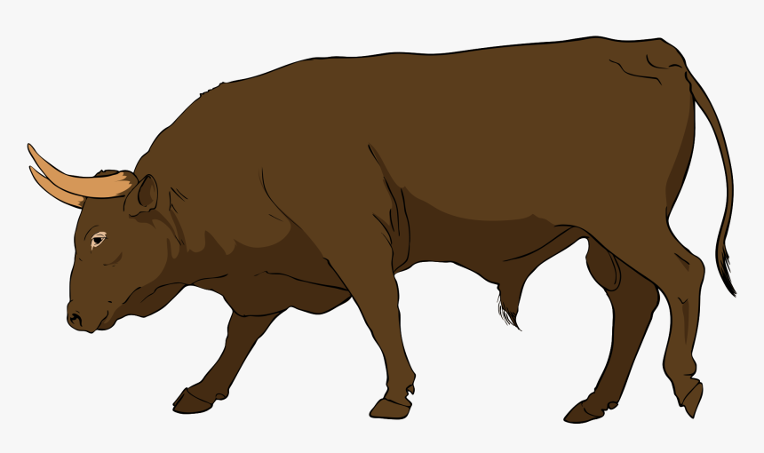 Clipart Bull Head - Bull Clipart Png, Transparent Png, Free Download