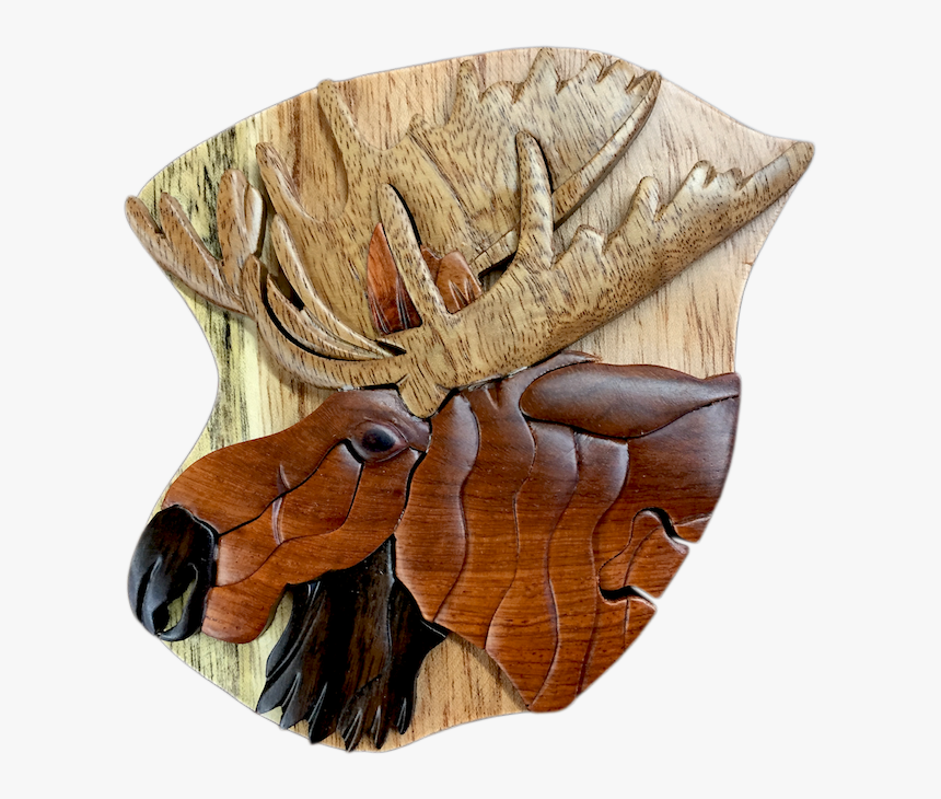 Bull Moose Head Wood Intarsia Puzzle Box - Deer, HD Png Download, Free Download