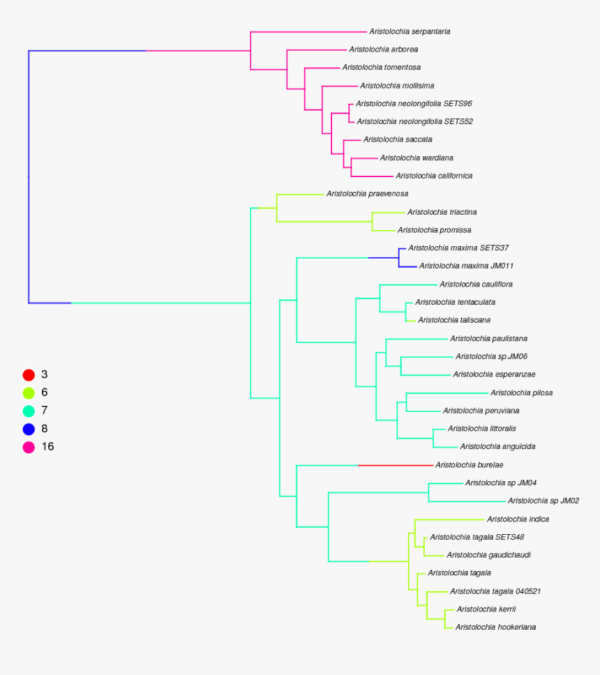 Diagram, HD Png Download, Free Download