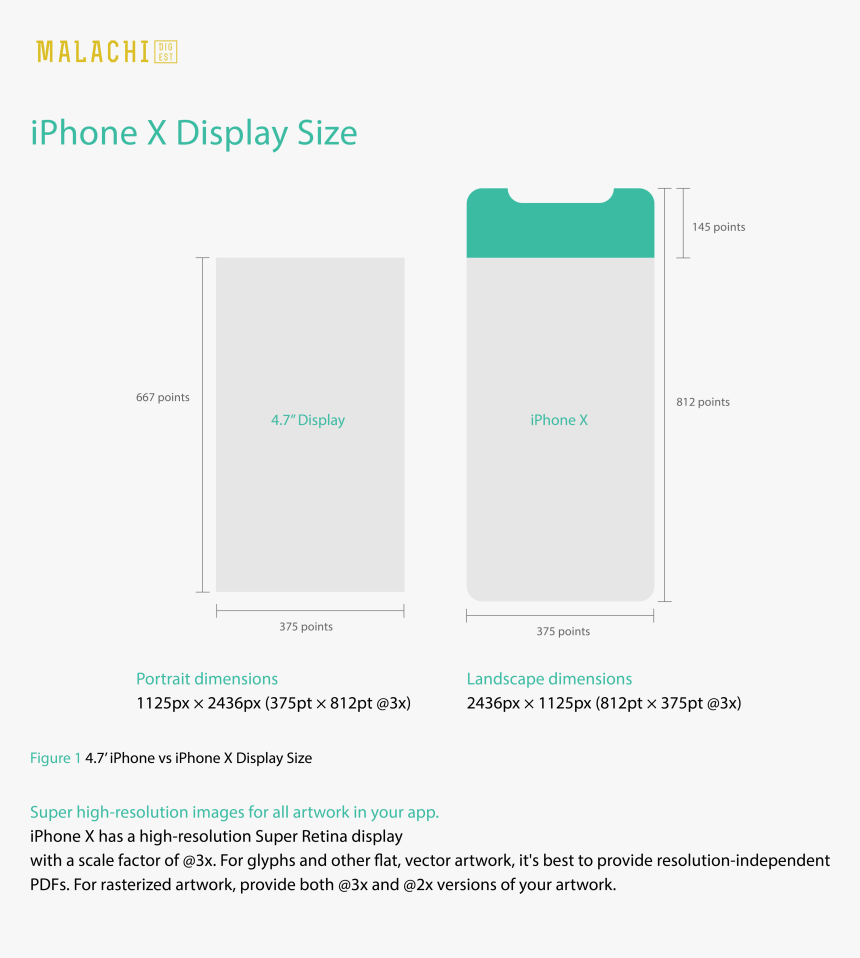 Designing For Iphone X, HD Png Download, Free Download