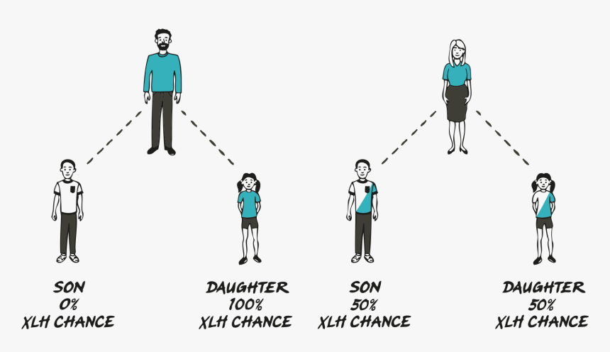 X & Y Chromosome Inheritance Patterns Of Xlh - Genes Matter, HD Png Download, Free Download