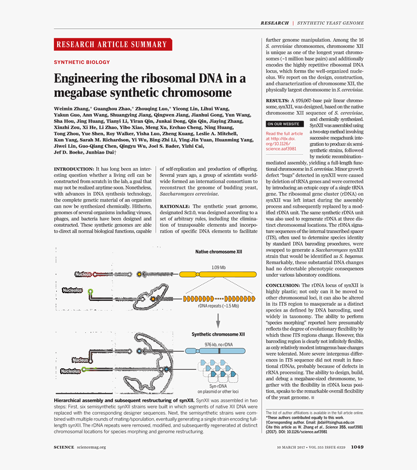 Document, HD Png Download, Free Download