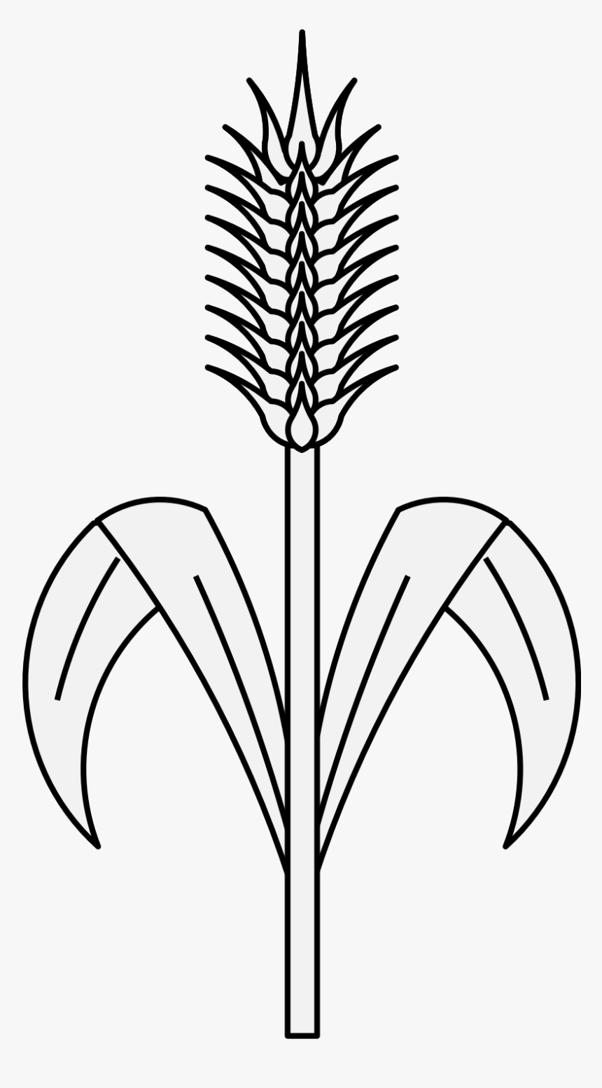 Wheat Tree For Drawing, HD Png Download, Free Download