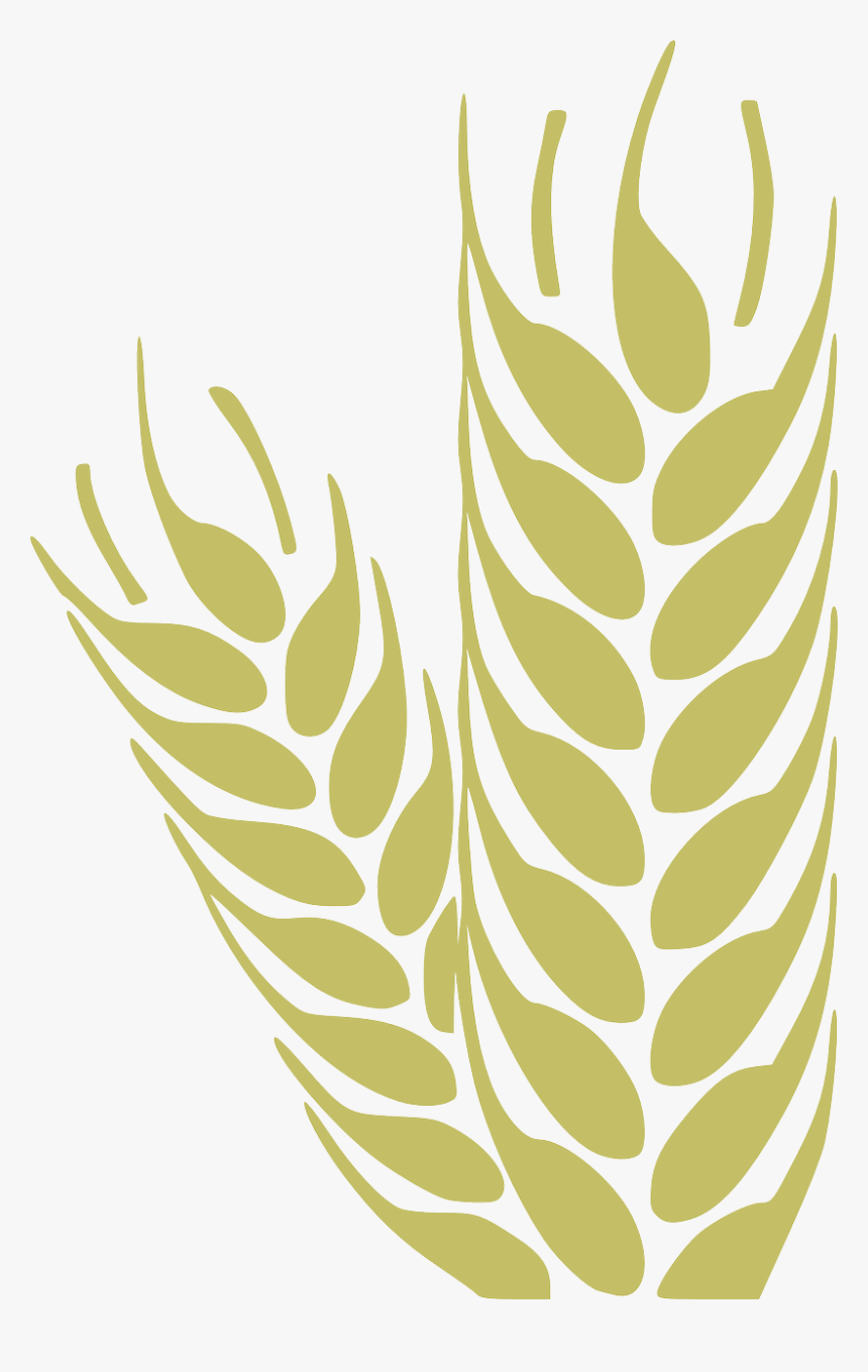 Wheat - Trigo - Agriculture Visiting Card, HD Png Download, Free Download