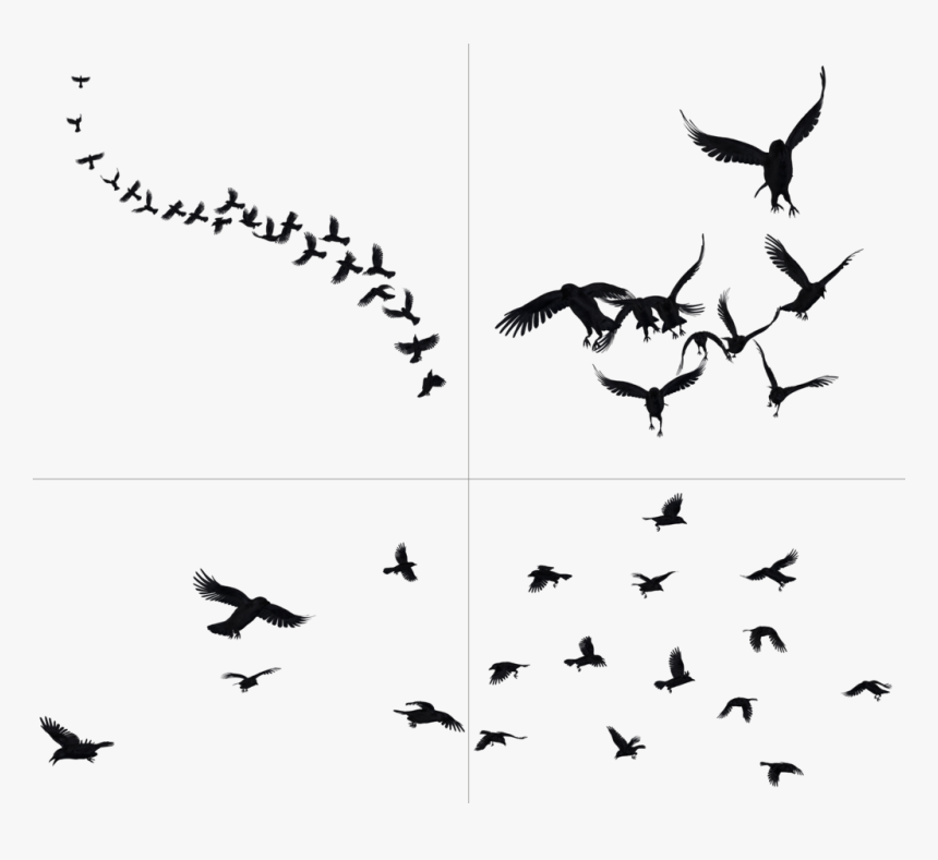 Crow Free Png Transparent Background Images Free Download - Crows Png, Png Download, Free Download
