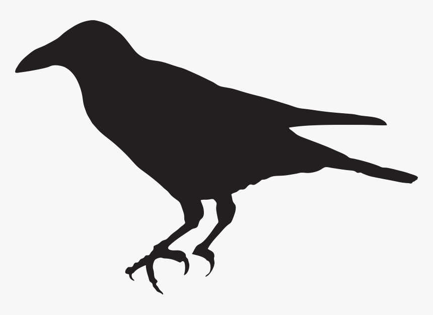 Silhouette Png Clip Art - Crow Clipart Transparent, Png Download, Free Download