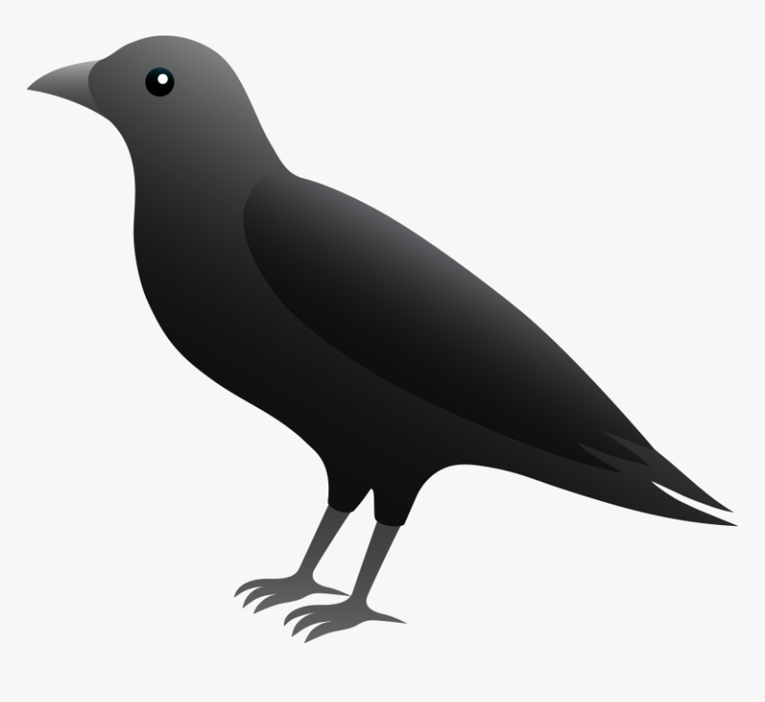 Crow Clip Art - Example Of A Scavenger, HD Png Download, Free Download