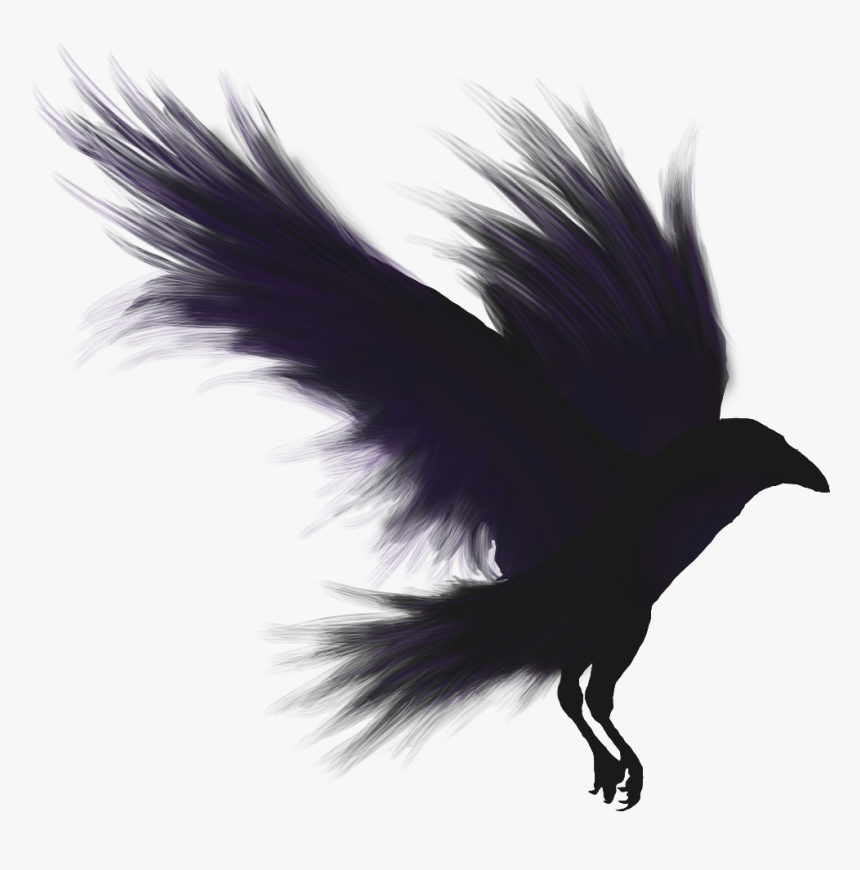 Crows Shadow Emblem - Crow Png, Transparent Png, Free Download