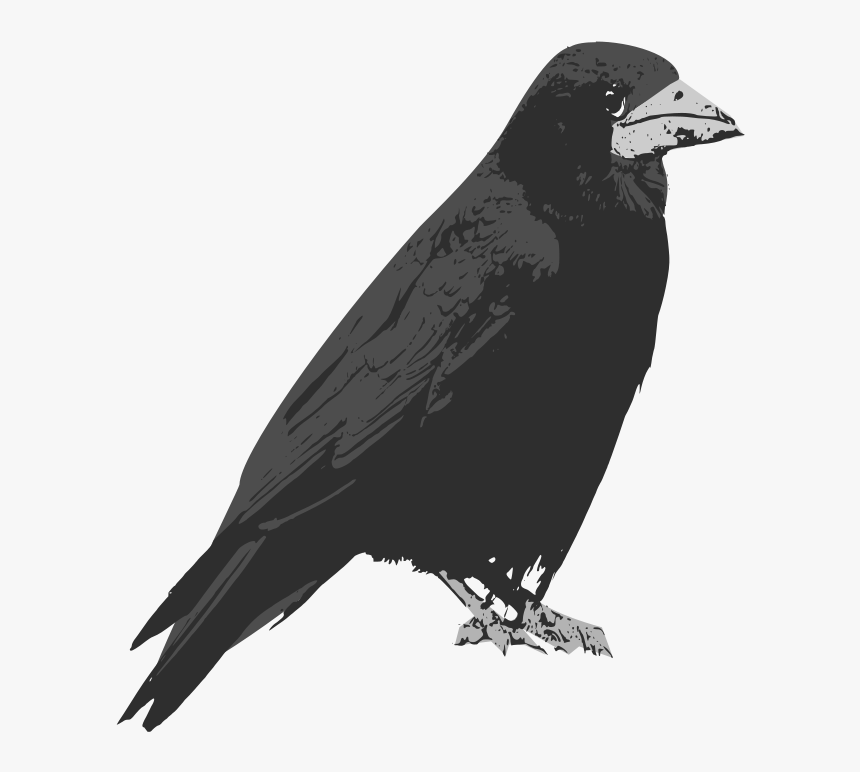Crows Vector Printable - Cartoon Raven Png, Transparent Png, Free Download