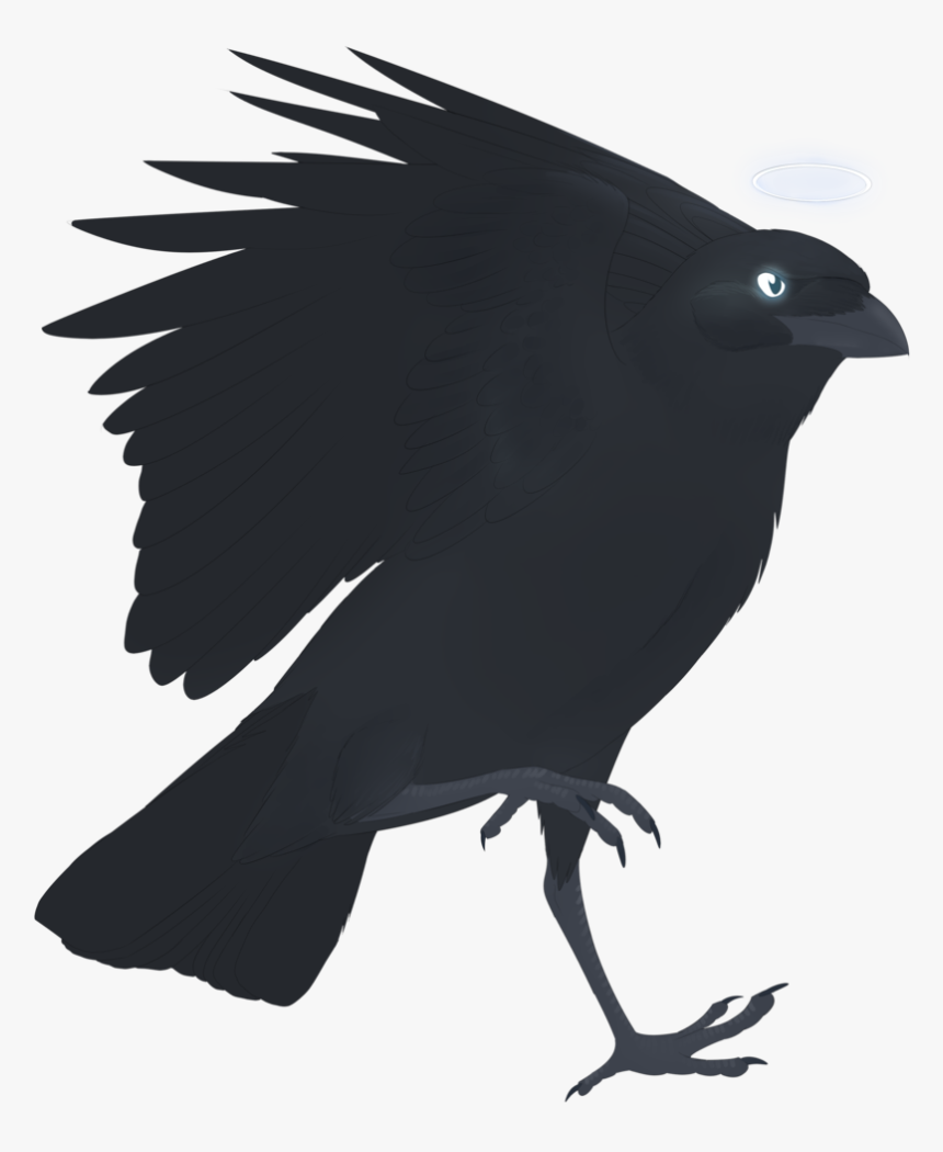 Crow Drawing Pictures - Raven, HD Png Download, Free Download