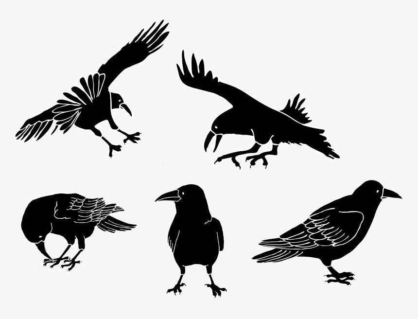 Drawing Cartoon Crows, HD Png Download, Free Download