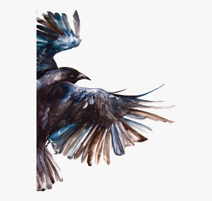 Clipart Freeuse Download Common Raven Bird Painting - Watercolor Raven In Flight, HD Png Download, Free Download