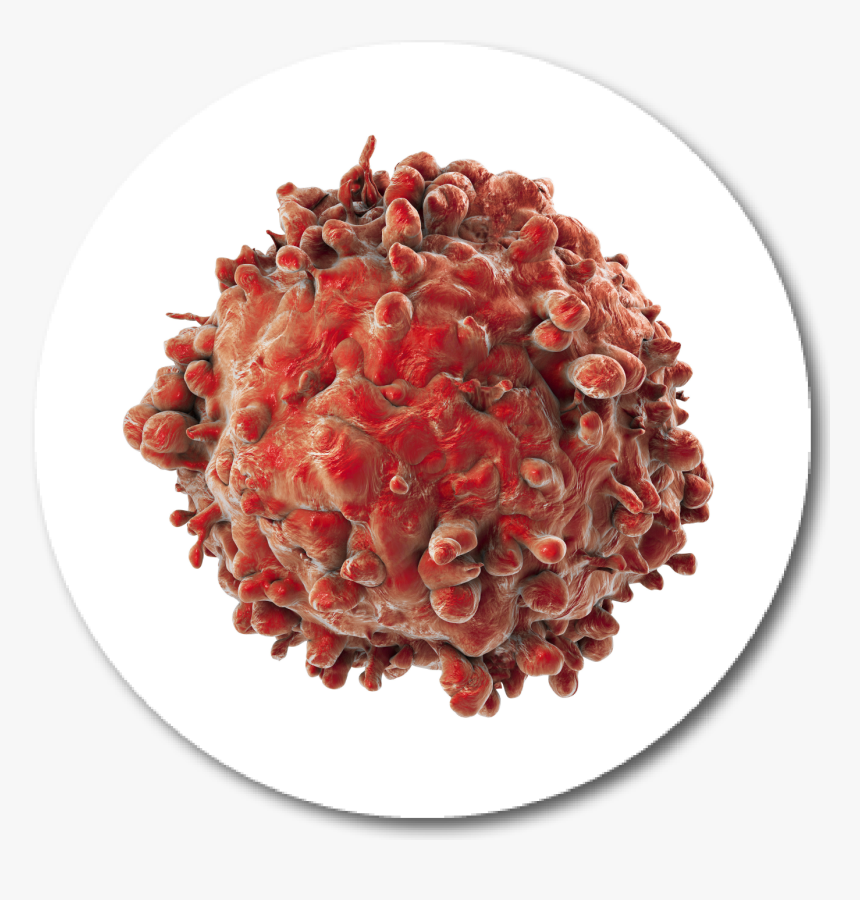 Cancer Cell Png - Real Cancer Cells, Transparent Png, Free Download
