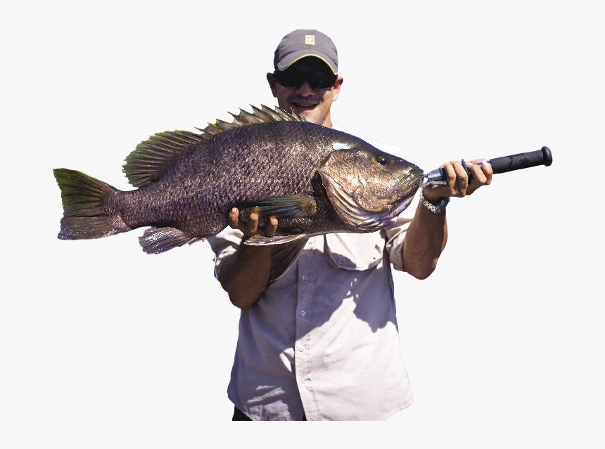 Tpa 534 Dk Opt - Fisherman Png, Transparent Png, Free Download