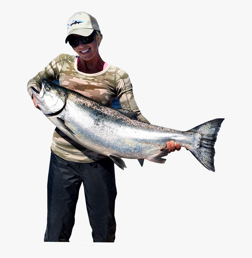 Pull Fish Out Of Water, HD Png Download - kindpng