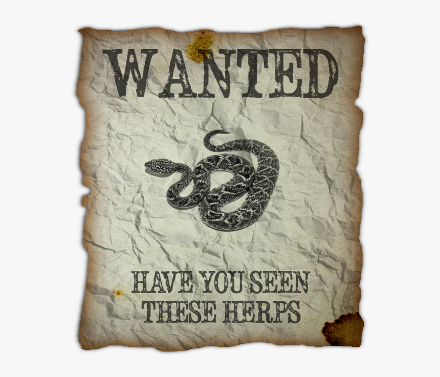 Wanted Poster Of A Snake, HD Png Download, Free Download
