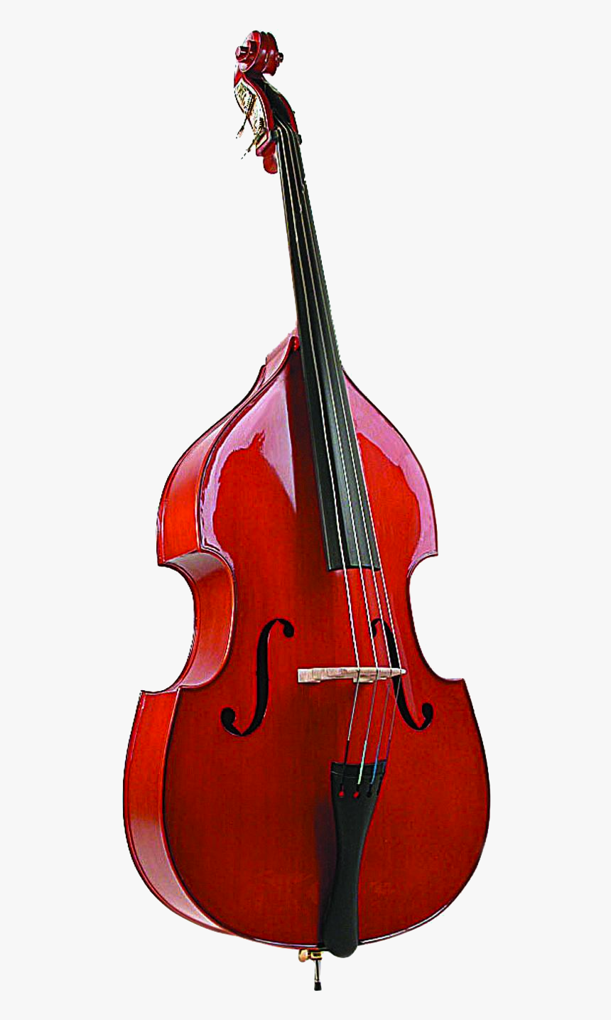 Fender Precision Bass Double Bass Cello Violin Viola - Kontra Bas, HD Png Download, Free Download