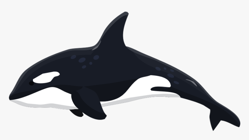 Fishbank Image Description - Orca Clipart, HD Png Download, Free Download