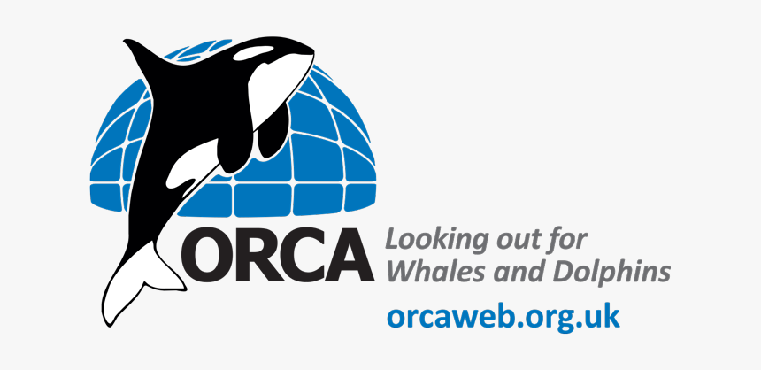 Orca, HD Png Download, Free Download