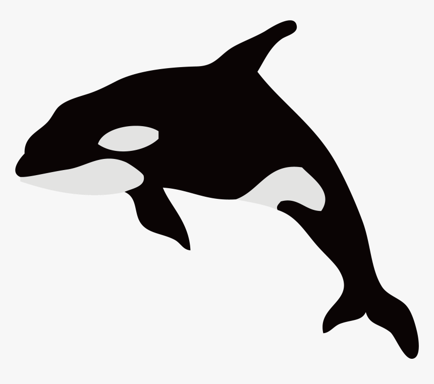 Dolphin Killer Whale Illustration Whales Silhouette - Killer Whale Illustration Png, Transparent Png, Free Download