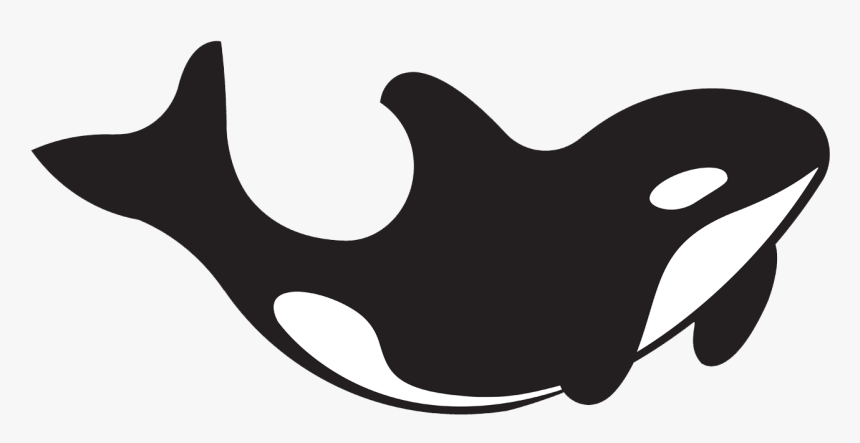 Killer Whale, HD Png Download, Free Download