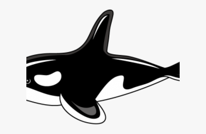 Killer Whale Clipart Png Transparent Png , Png Download - Clip Art Orca Whale, Png Download, Free Download