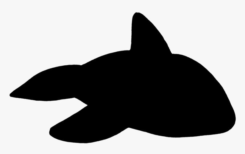 Wal, Killer, Orca, Marine Mammals, Float, Toys - Whales, HD Png Download, Free Download