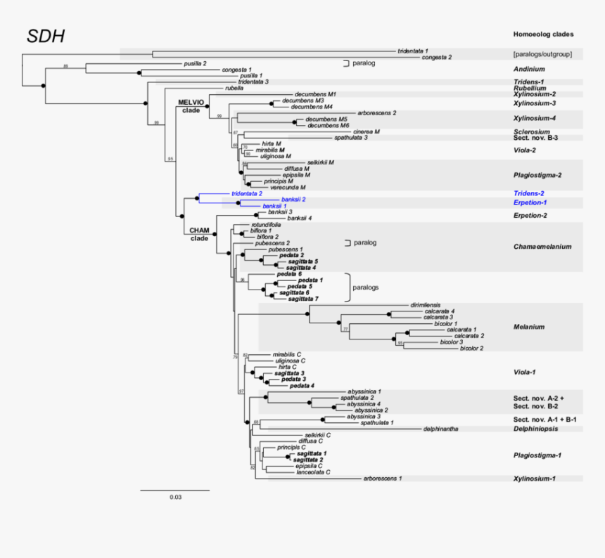 Diagram, HD Png Download, Free Download