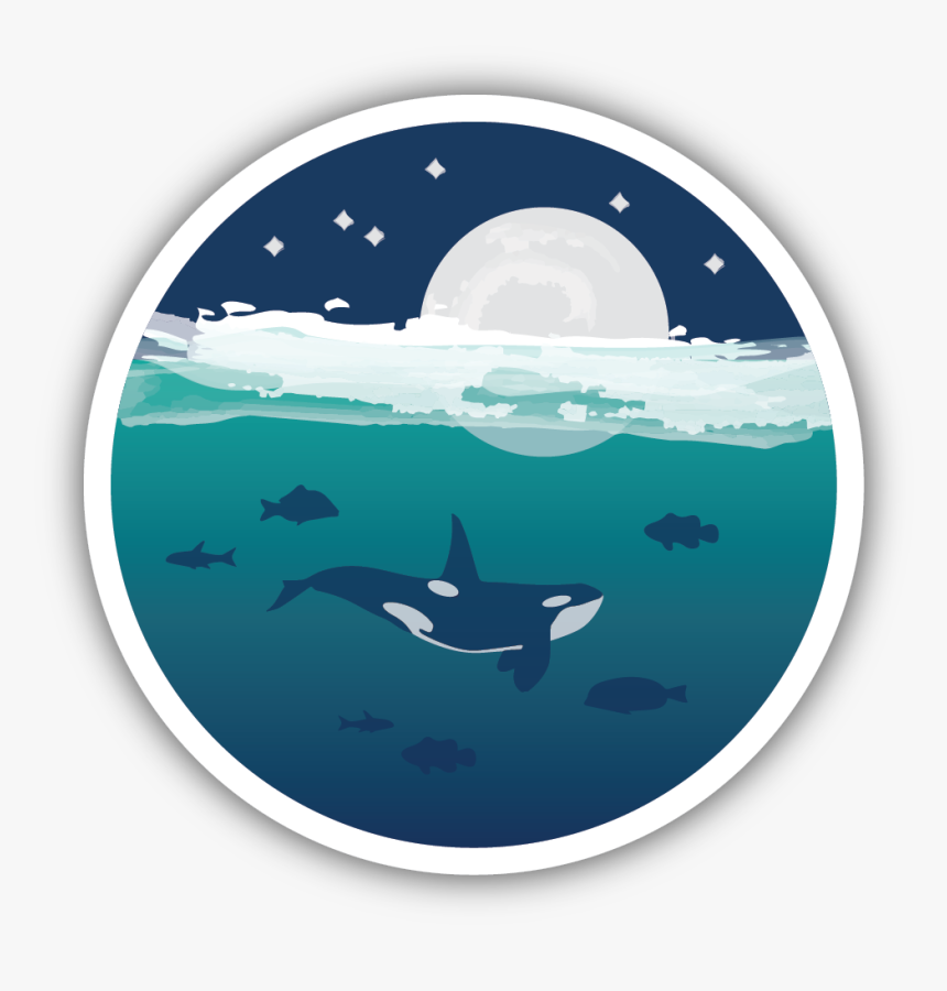 Ocean Orca Sticker - Instagram, HD Png Download, Free Download