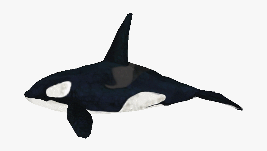 Download Zip Archive - Zoo Tycoon 2 Orca Model, HD Png Download, Free Download