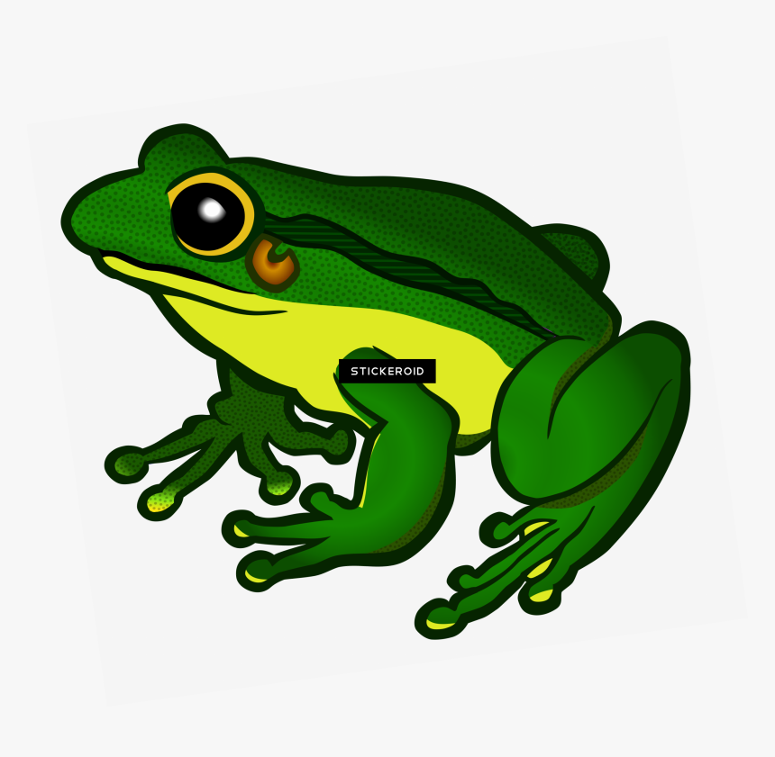 Mlg Frog Png - Transparent Background Frog Clipart, Png Download, Free Download