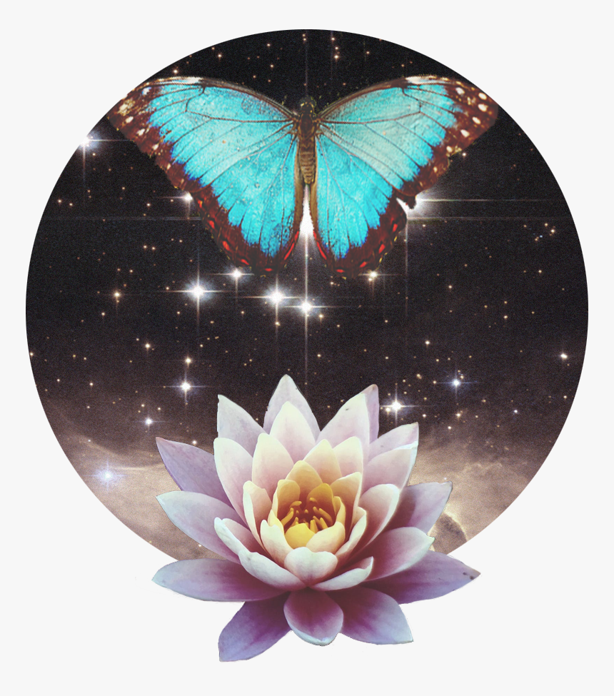 Awakenbreath Icon - Sacred Lotus, HD Png Download, Free Download