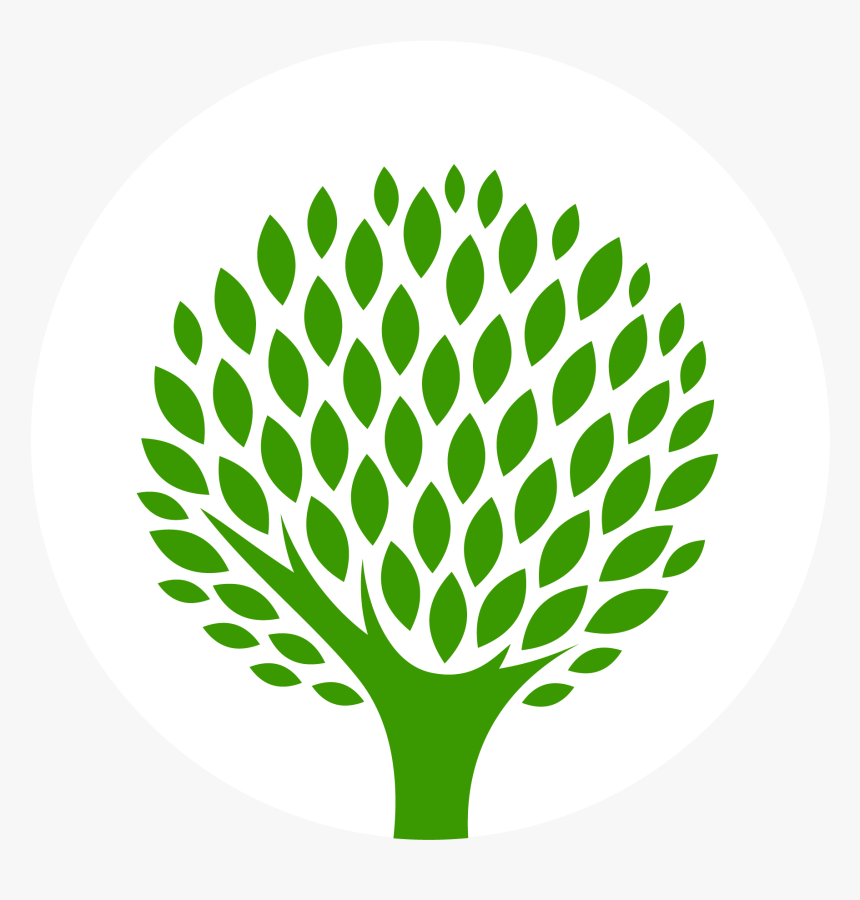 Wood, HD Png Download, Free Download