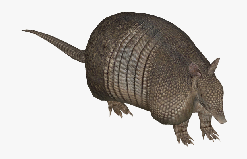 List Button - Zoo Tycoon 2 Armadillo, HD Png Download, Free Download