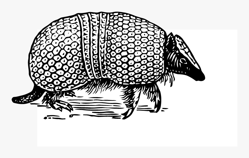 Vector Free Png Armadillo, Transparent Png, Free Download