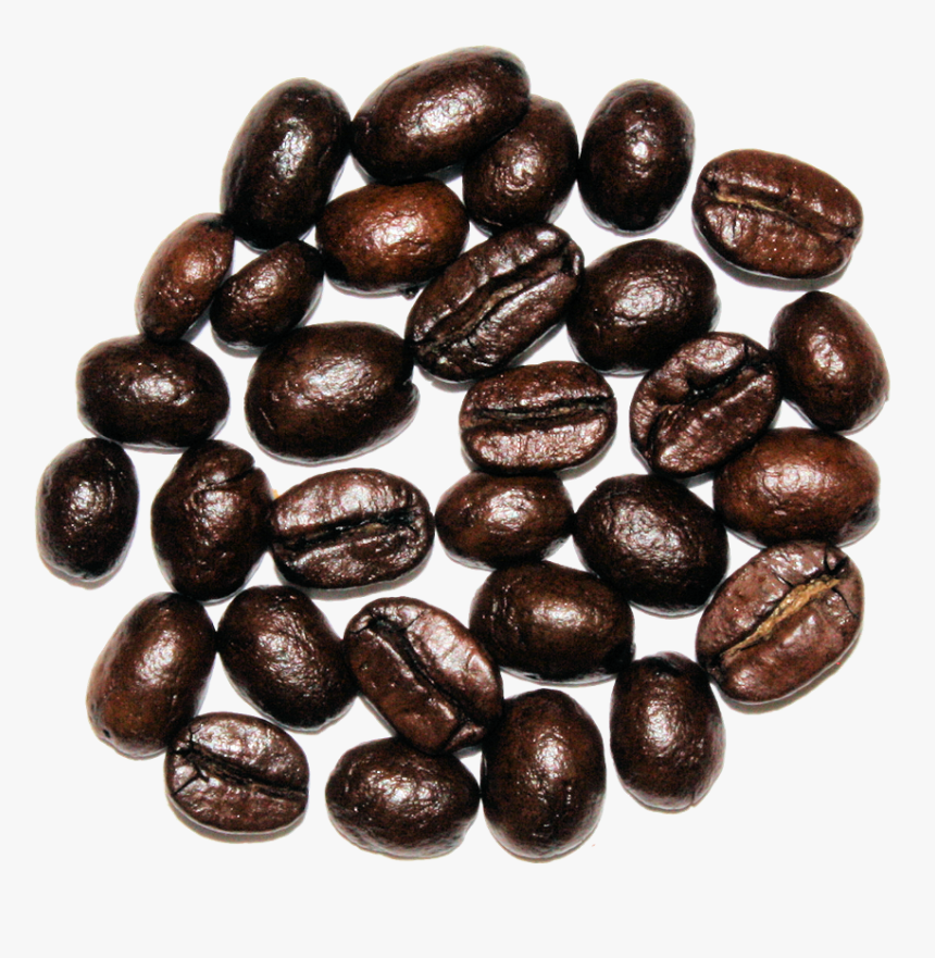 Seed, HD Png Download, Free Download